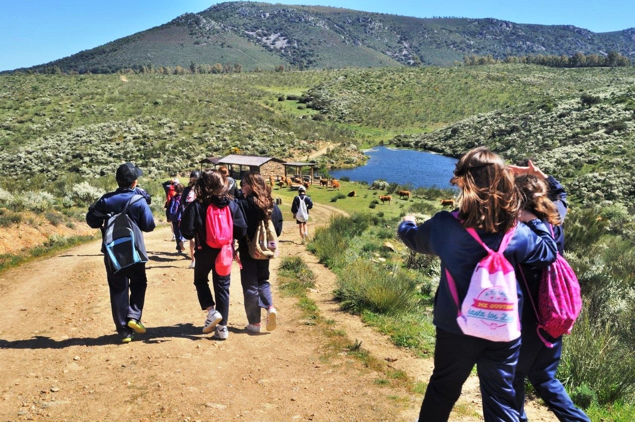 Actividades en plena naturaleza