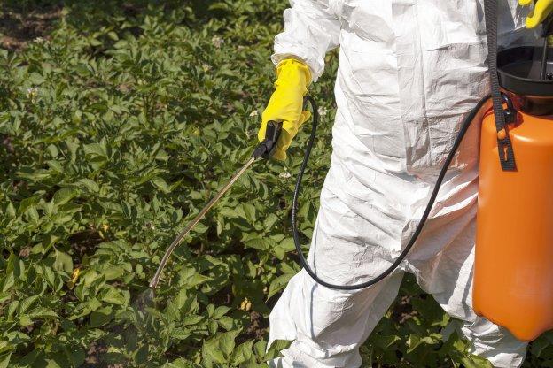 Un operario aplicando herbicida en los cultivos. :: hoy