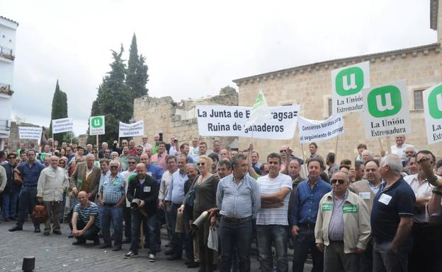 Protesta celebrada hace un año en Mérida para pedir medidas contra la tuberculosis bovina:: HOY