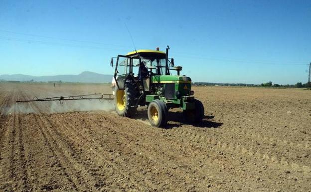 Imagen de archivo de unos trabajos agrícolas:: HOY