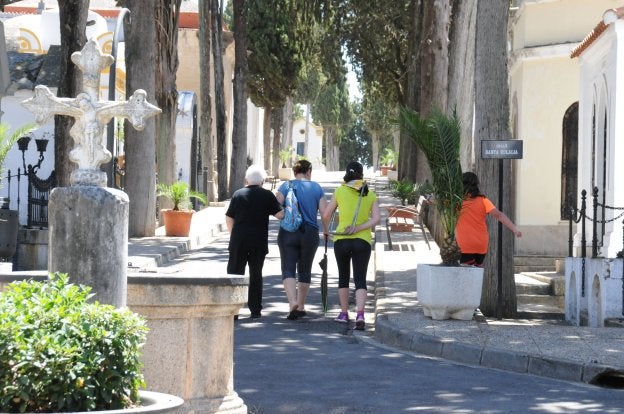El Consistorio trabajará el año que viene para mejorar la accesibilidad del Cementerio. :: BRÍGIDO