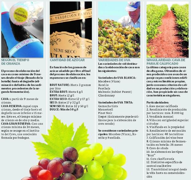Tipos de cava.