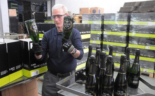 Un trabajador de Bodegas Vía de la Plata, una de las cuatro de Almendralejo que producen cava bajo la denominación de origen, en el proceso final de embalaje. /BRÍGIDO