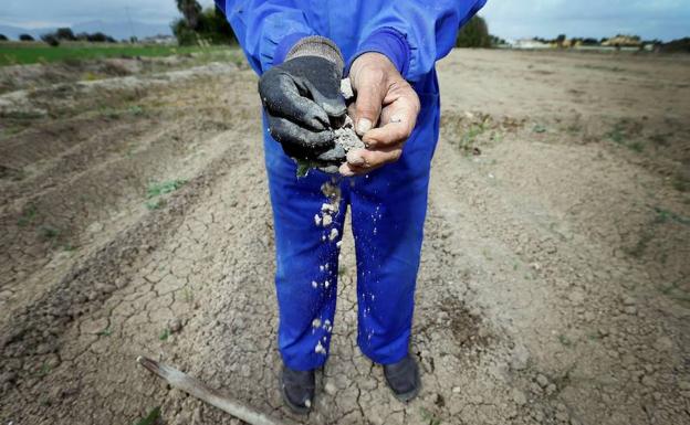 Las ayudas tratarán de paliar las dificil situación que atraviesan algunos agricultores por la sequía:: HOY/