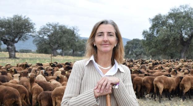 La ganadera pacense María Pía Sánchez Fernández, con un rebaño de ovejas en la dehesa . :: HOY/