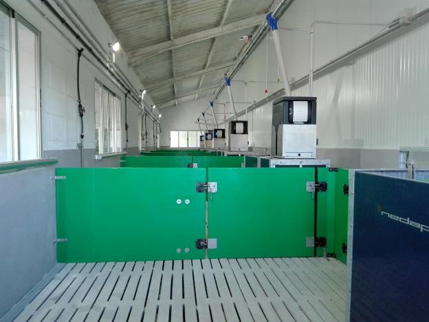 Sala automatizada de control de alimentación y peso de crías. :: g. c./