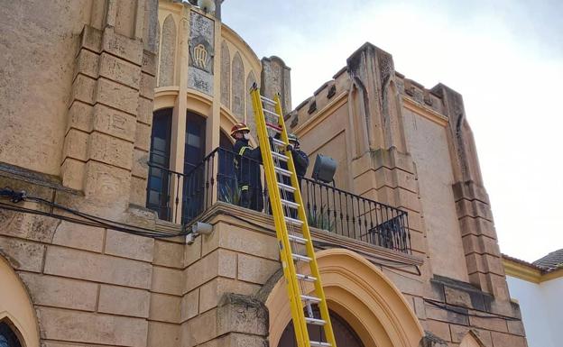 Colocación del nido en la ermita de la Inmaculada Concepción.