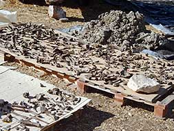 Restos de huesos que se fueron sacando del interior de la mina durante la excavación. Luego hubo que clasificarlos.|HOY/
