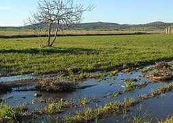 El agua no contenta a todo el campo