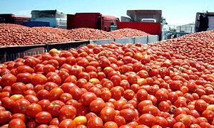 La Junta destinará 50 millones para incentivos agroalimentarios hasta 2015