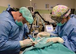 Operando en el quirófano con una tecnología específica para realizar cirugía sin sangrado. Casimiro Moreno/