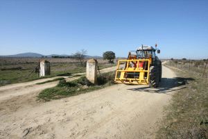 Finca elegida, a siete kilómetros de Aldea del Cano, para el aeropuerto internacional, en el término municipal de Cáceres. / LORENZO CORDERO/
