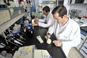 Varios investigadores trabajan en el Instituto Tecnológico Agroalimentario (Intaex), que se integrará en el Centro de Investigaciones Científicas y Tecnológicas. :: j. v. arnelas/