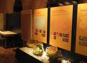 En el museo se pueden contemplar alimentos, objetos y utensilios de la cultura morisca . :: JUAN AGUILAR/