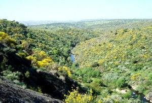 Paisaje del área para la que se pide protección. :: ANDARES/