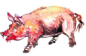 La gorrina de Falaise