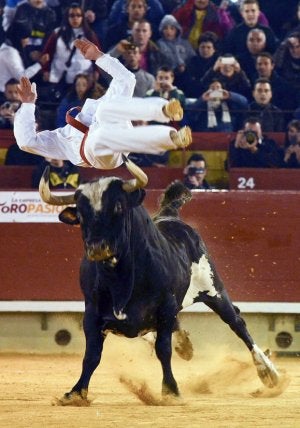 El toro 'Ratón'. :: EFE/