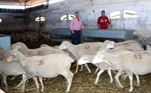 Manuel y Antonio trabajan mano a mano. 