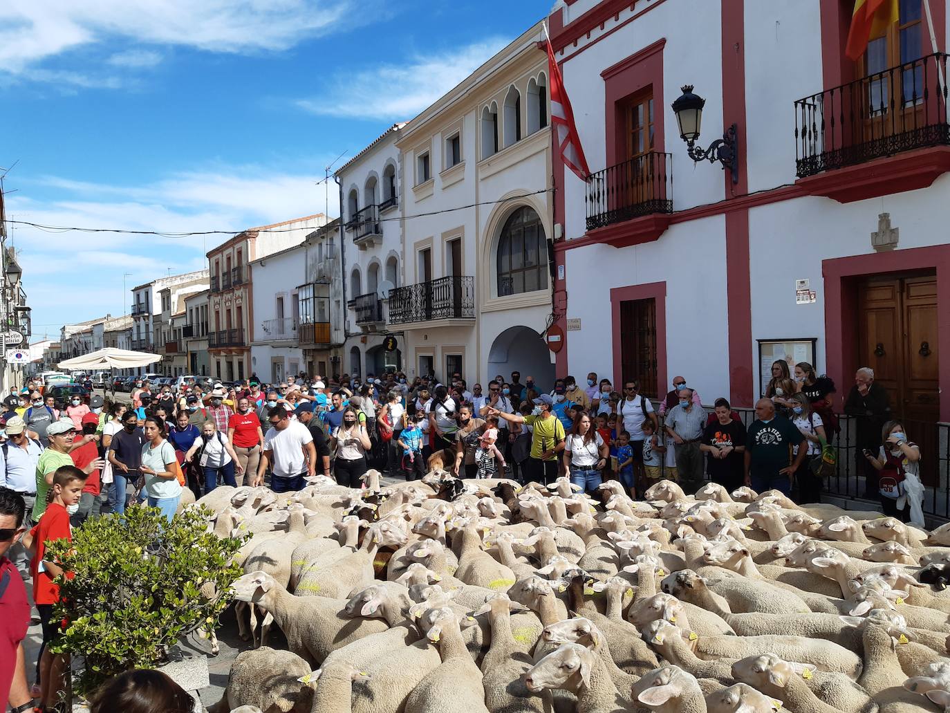 Unas 1.500 personas y 200 ovejas, protagonistas hoy de la XV Ruta