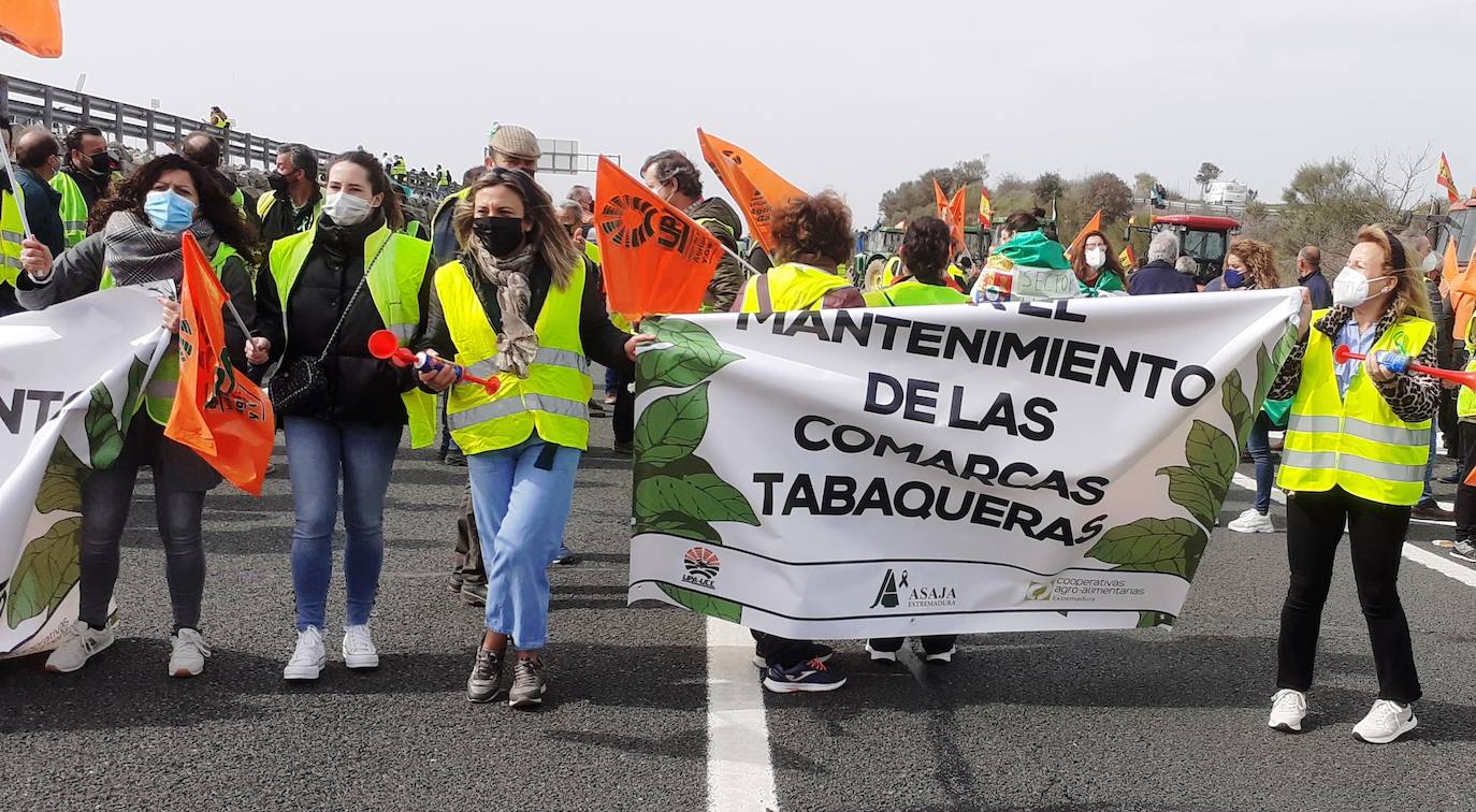 Protesta tabaquera en la autovía de Extremadura