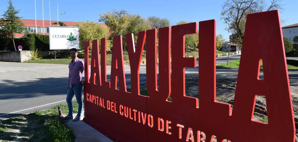 «Talayuela es conocida como la capital del cultivo de tabaco