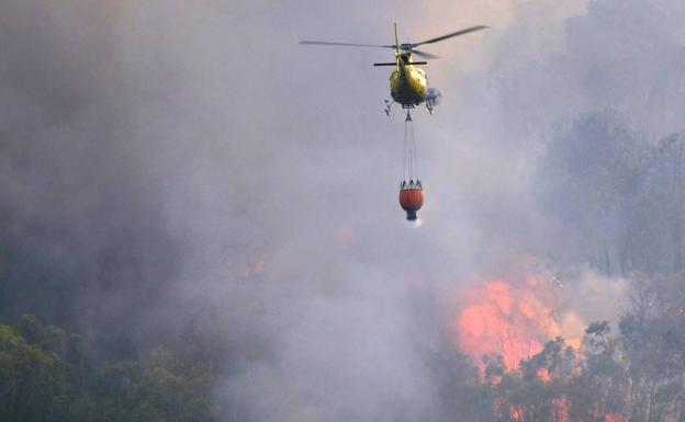 Detenido por provocar cuatro incendios forestales en Jaraíz de la Vera