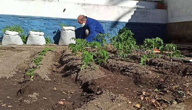 Un usuario trabaja en el huerto. /ASPACE CÁCERES