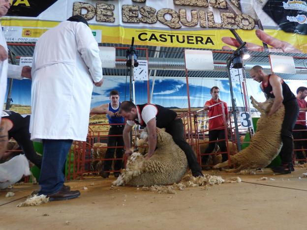 conocer gente adventista
