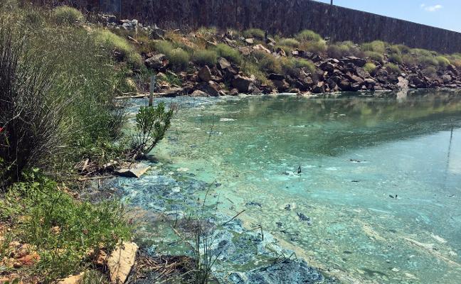 Imagen verdosa del pantano de Los Molinos a causa de un alga. :: juan aguilar/