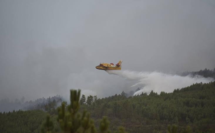 5 de agosto. Los montes de la comarca de Alcántara volvieron a arder quince años y un día después. Las altísimas temperaturas y el viento convirtieron el valle de Jola en un infierno. Las llamas quemaron 117,70 hectáreas en total. :: 