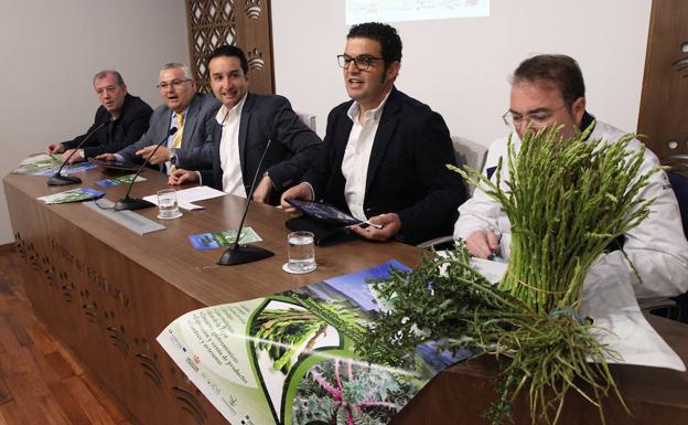 Presentación de la feria/HOY