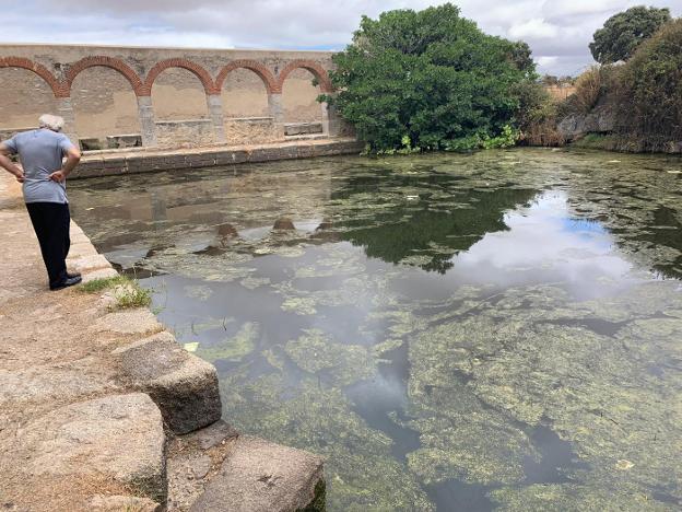 Buzos limpiarán mañana el interior de Depósito, en Trujillo | Hoy