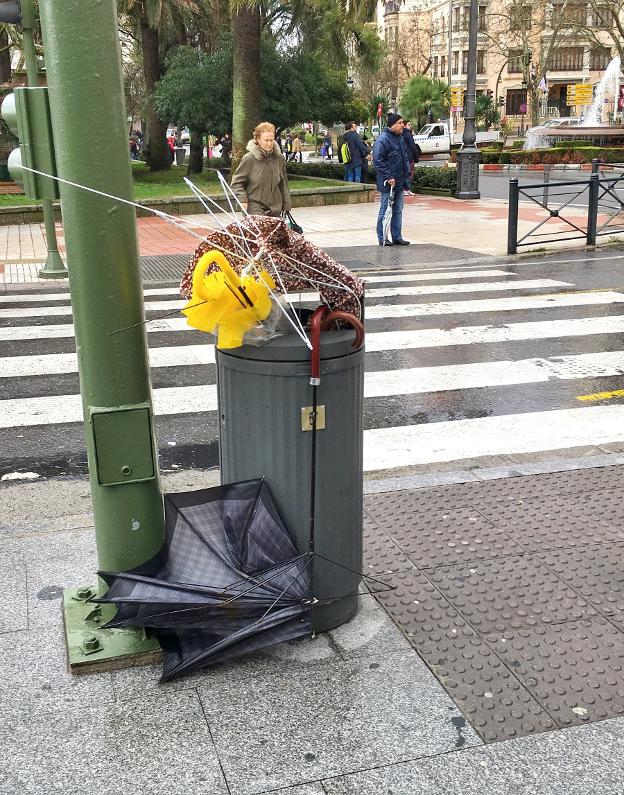 Paraguas destrozados por el viento en una papelera cacereña. / E.R.