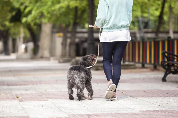 Una joven pasea a un perro en Cáceres. / HOY