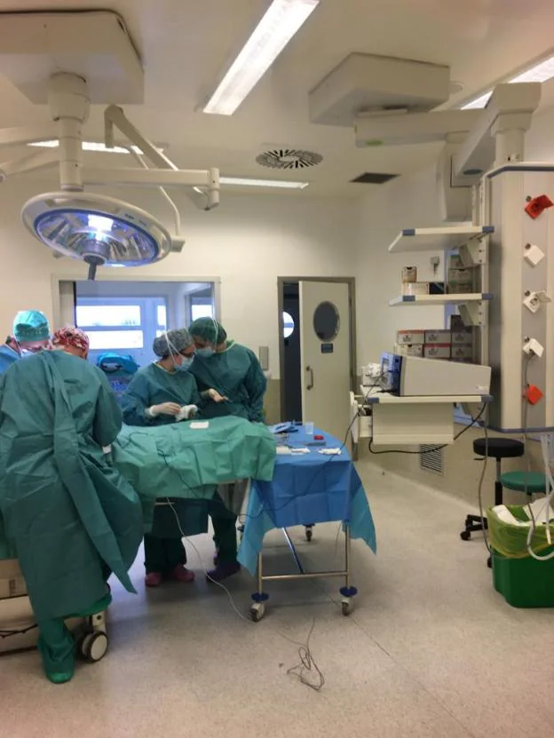 Las intervenciones quirúrgicas superaron las 2.600 y se abrió un cuarto quirófano. / G. C.