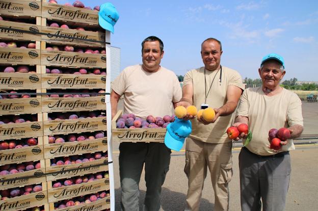 Gregorio, Ramón y Óscar Fernández muestran su producción de fruta actual. / S. GÓMEZ