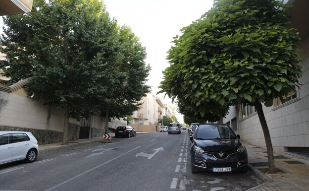 Los árboles se incrustan en las viviendas de la calle Isla de Sicilia, en el R-66. /armando méndez