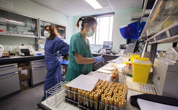 Equipamiento para la realización de PCR en el Hospital San Pedro de Alcántara de Cáceres. /HOY