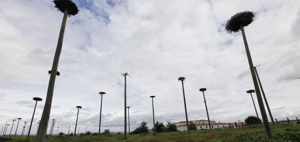 El proyecto del aeródromo de Cáceres, listo para la declaración ambiental del Ministerio - Vimarsana News