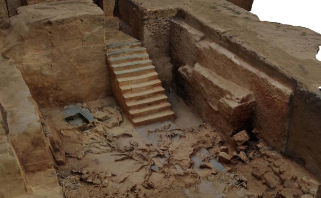 UEx ayuda a aclarar cómo se domesticaron los caballos de hoy