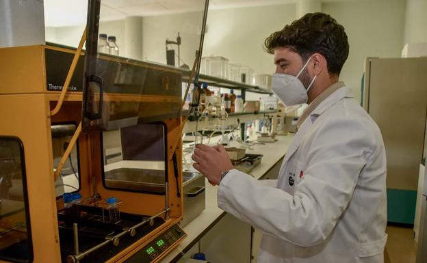 Agitador orbital utilizado para hacer los extractos. 