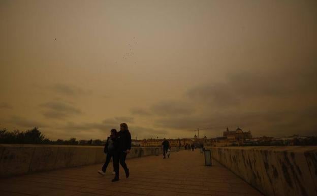 Consejos para protegerse del calor