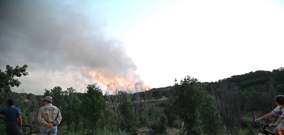 El incendio de La Vera se da por estabilizado