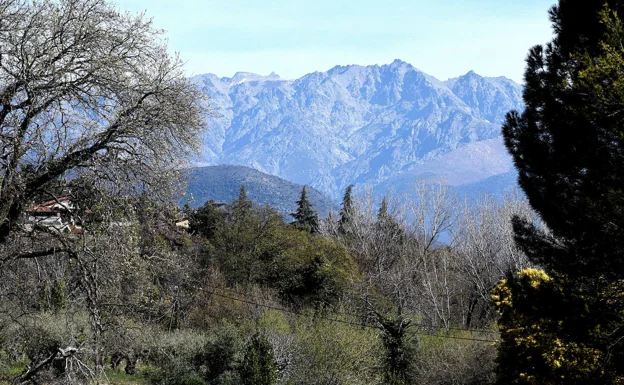 Sierra de Gredos desde Villanueva de La Vera, término municipal donde se ha constatado la presencia del lobo. 