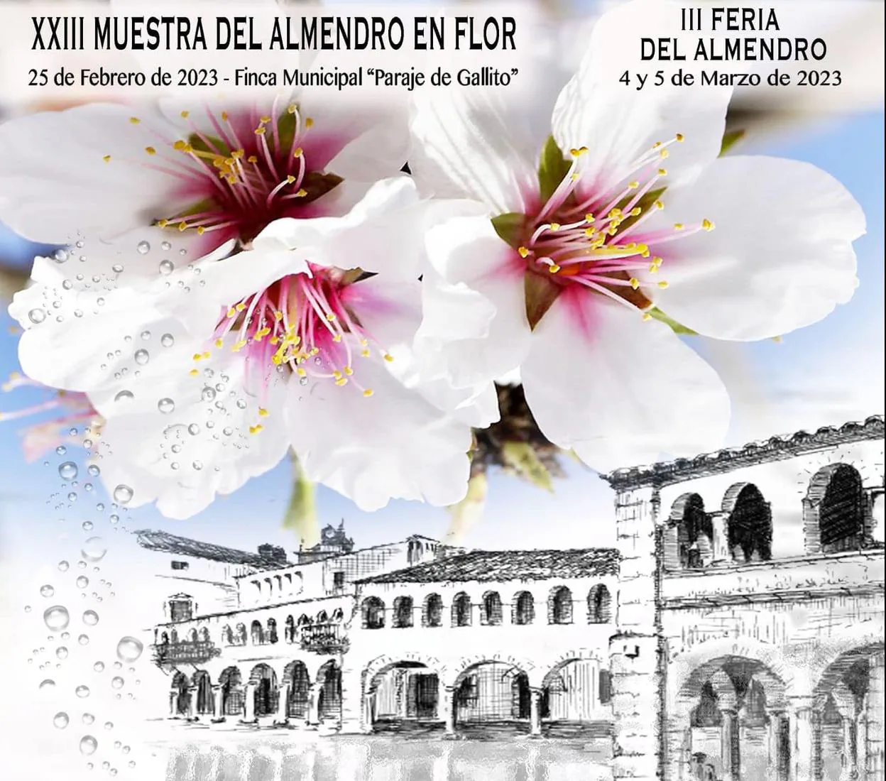 La XXIII Muestra del Almendro en Flor de Garrovillas de Alconétar se  realizará en el paraje de Gallito el próximo sábado | Hoy