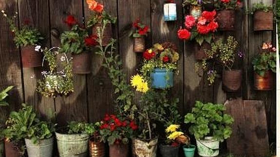 Jardines verticales para climatizar tu casa | Hoy